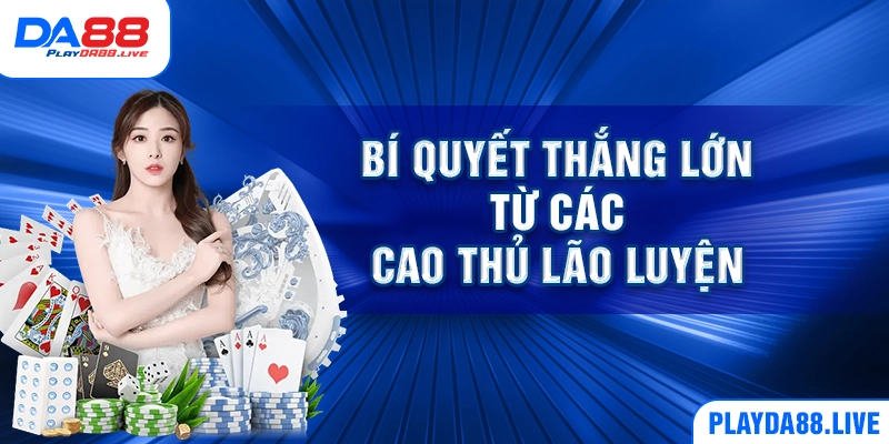 Bí quyết thắng lớn từ các cao thủ lão luyện