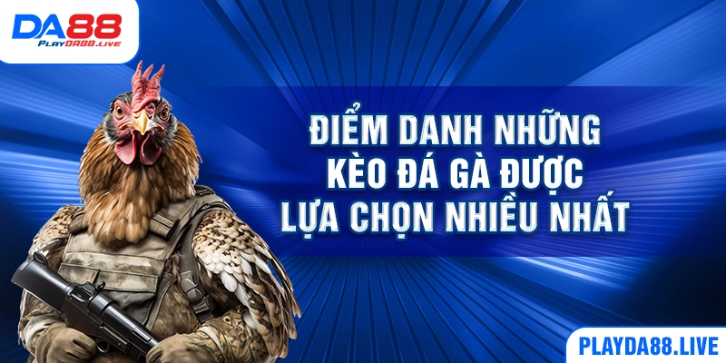 Điểm danh những kèo đá gà được lựa chọn nhiều nhất