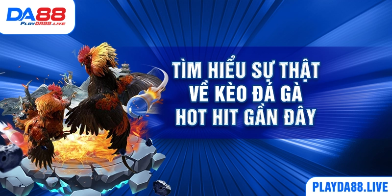 Tìm hiểu sự thật về kèo đá gà hot hit gần đây