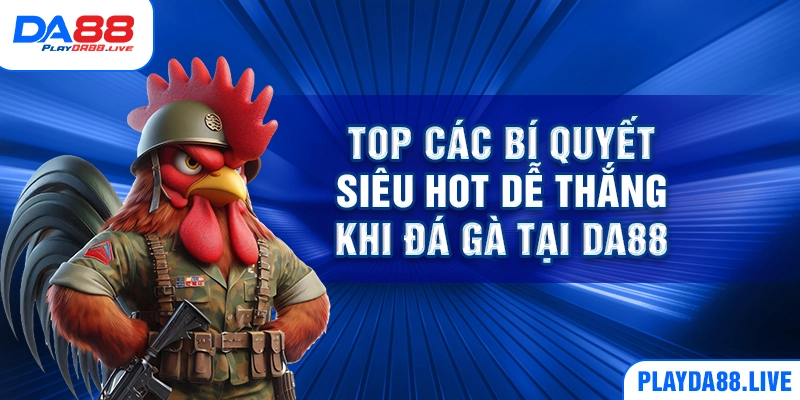 Top các bí quyết siêu hot dễ thắng khi đá gà tại DA88